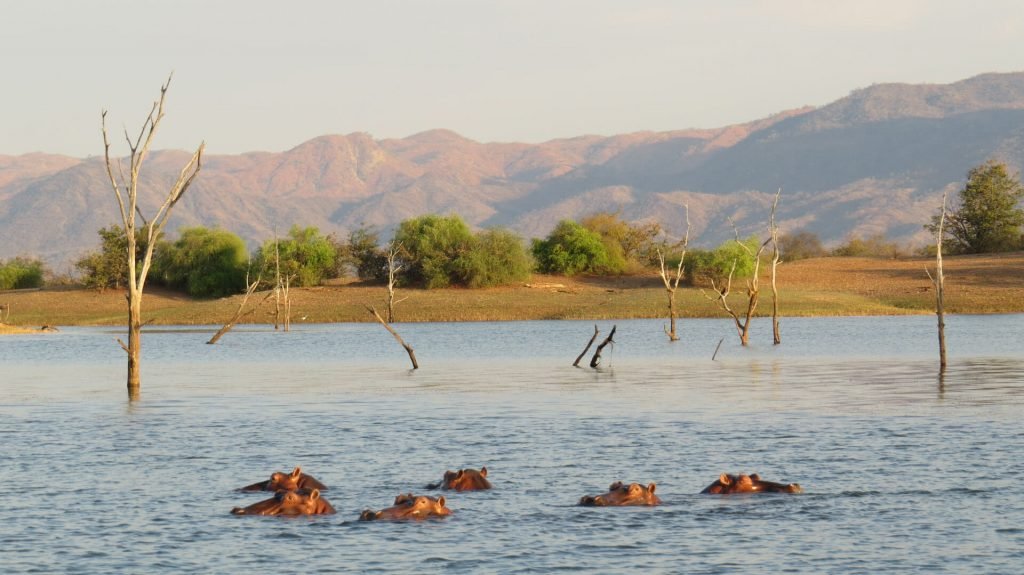 Tsau //Khaeb National Park | Sima Safari
