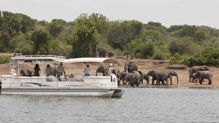 Boat Safari in Selous Game Reserve